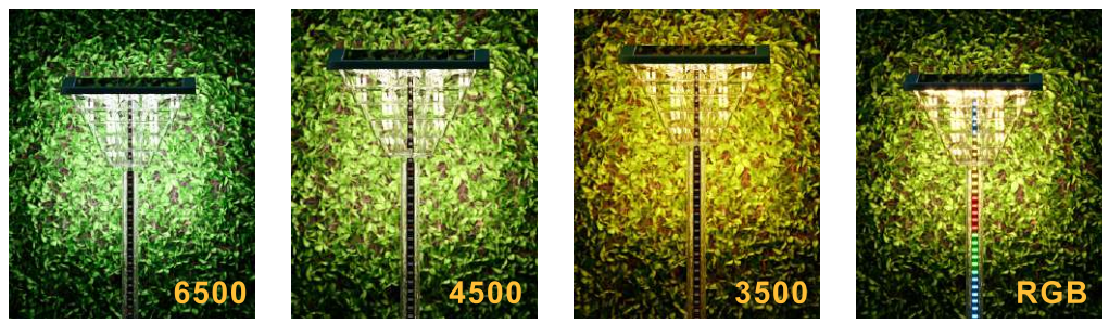 微信图片_20240901115736